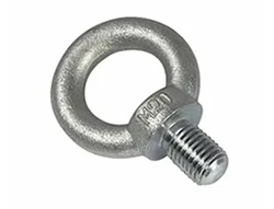 ASTM A193 UNS S34700 Eye Bolts